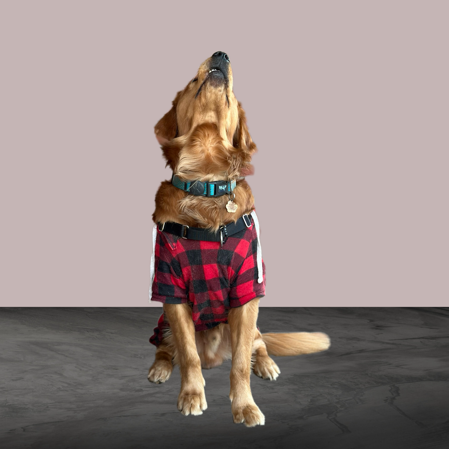 Hoodie for Dogs - Red Plaid