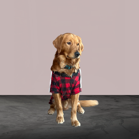 Hoodie for Dogs - Red Plaid